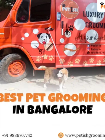 As the best pet grooming service in Bangalore, my van is my office. It's fully equipped to handle all your pet's needs right at your doorstep.