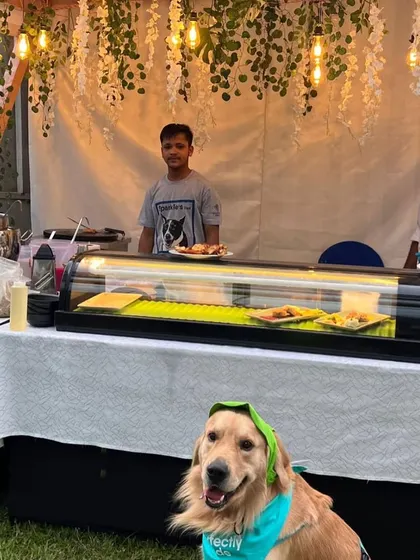 This adorable golden retriever was one of our best customers at the Pawfect Sundowner gourmet food stall.