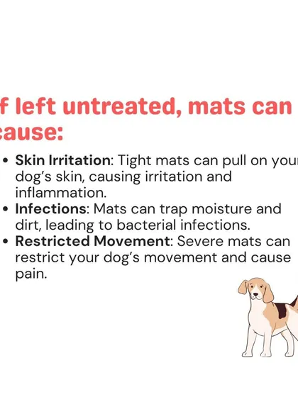 If left untreated, matted fur can cause serious problems. The constant pulling can lead to skin irritation, infections, and even restricted movement due to pain.