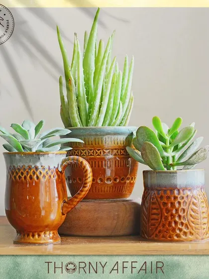 This collection of earthy, amber-toned ceramic planters shows how grouping similar colors and textures can create a warm and inviting display.
