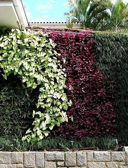 This outdoor wall uses large blocks of color, with sections of white, red, and green foliage creating a bold, graphic design.