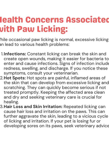 Constant licking can break the skin, leading to infections, painful hot spots, and hair loss. If you notice these signs, it's important to seek veterinary advice to prevent further complications.