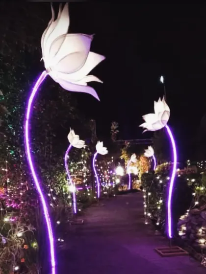 For this pathway, I used tall, glowing lotus flower props with purple neon stems. It creates a magical, otherworldly feel, lighting the way for guests in a truly unique style.