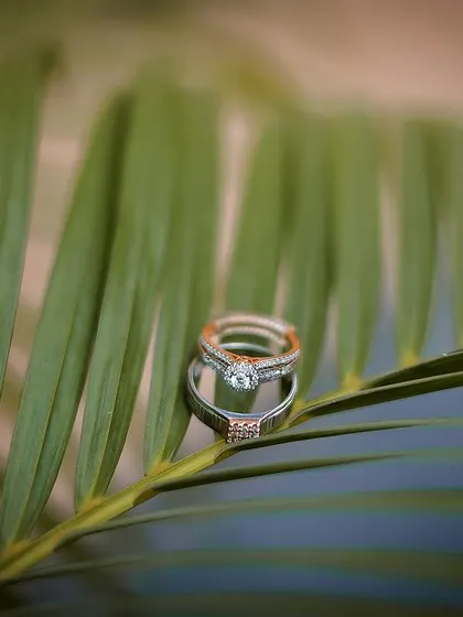 A creative detail shot of the engagement rings placed on a palm leaf.