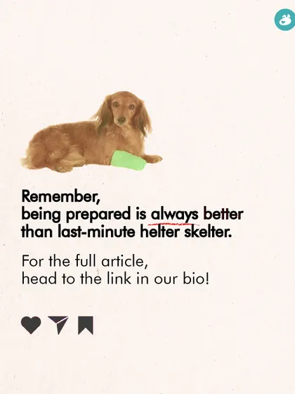 Being prepared is always better than panicking during an emergency. This concluding graphic for our first-aid kit guide reminds pet parents that having the right supplies on hand can be life-saving.