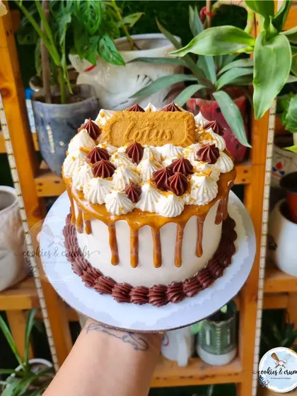A decadent Chocolate Biscoff Cake. The combination of rich chocolate, creamy Biscoff drip, and whipped cream swirls is a guaranteed crowd-pleaser.