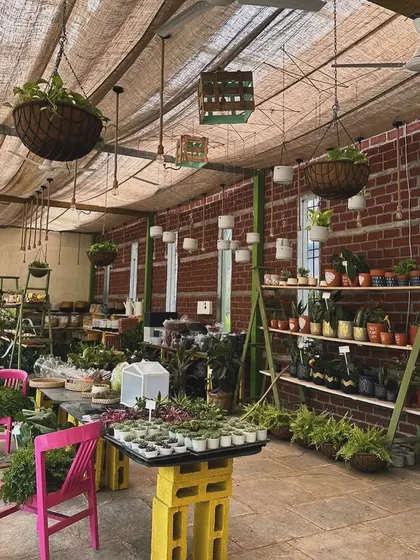 A wide shot of our nursery section, showcasing the variety of plants and colorful pots. The exposed brick wall and jute-cloth ceiling add to the rustic, greenhouse feel.