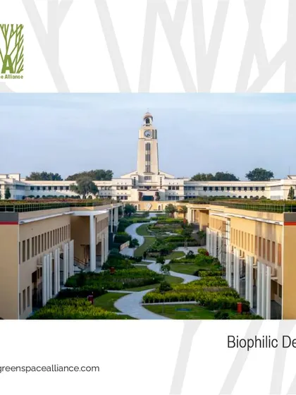 A view of the biophilic design at the BITS campus, where green roofs and terraced gardens are integrated with the architecture. This approach enhances well-being, improves environmental health, and connects students and faculty with nature in their daily lives.