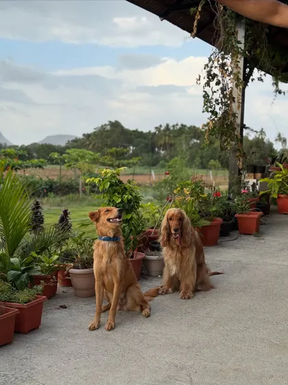Posto making a new friend during our staycation.