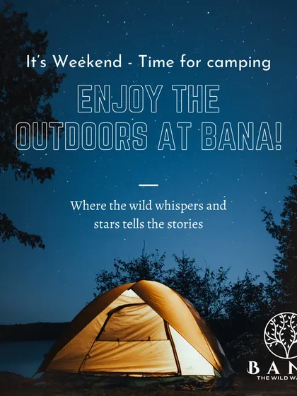 Enjoy the outdoors at Bana. Our camping experience lets your team connect with nature, where the wild whispers and the stars tell stories.