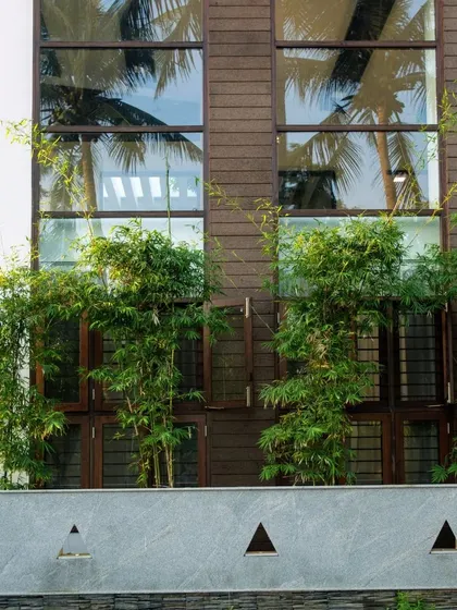 We used bamboo planting to create a natural, green screen for the ground floor windows, enhancing privacy and contributing to the home's eco-friendly aesthetic.