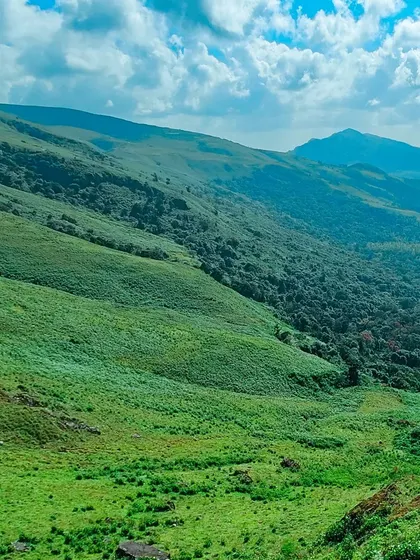 The endless rolling green hills that are characteristic of our treks.