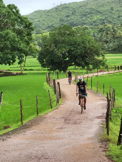 Cycling on a narrow path through vibrant green paddy fields in Gokarna. The monsoon season brings the landscape to life, creating a stunning backdrop for our rides.