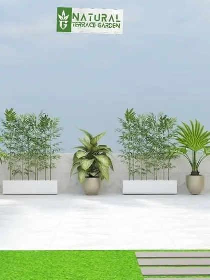 A minimalist 3D concept focusing on planters and greenery. This shows how we use a variety of plants in modern planters to create a green boundary and add life to a space.