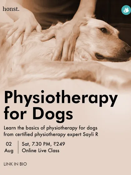 Physiotherapy can be a game-changer for dogs with mobility issues, arthritis, or post-injury recovery. Our online class introduces you to the basics of canine physiotherapy and how it can improve your dog's quality of life.