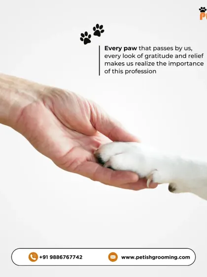 Every paw that passes by us, every look of gratitude, makes us realize the importance of this profession. This is why I do what I do.