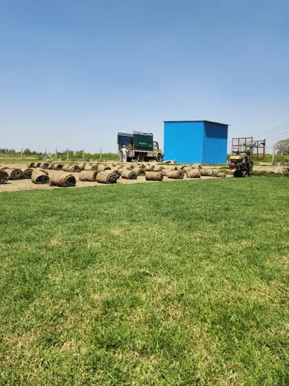 Our farm setup, with a truck and machinery ready for a day of harvesting and supplying turf.