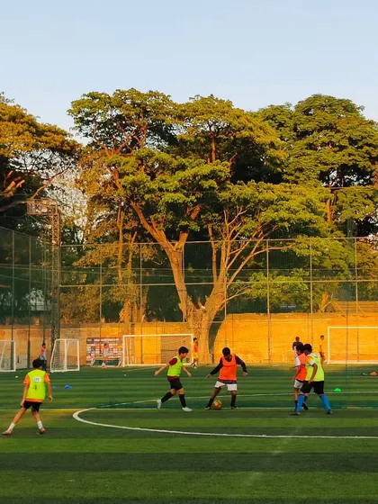 A wide shot of a grassroots training session during the "golden hour." The image captures the scale of our training groups and the beautiful environment at our facility.