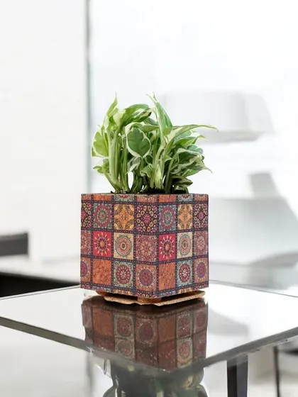 This beautiful planter pot features a vibrant mosaic tile design on a sustainable base. It's a wonderful way to add a pop of color and greenery to any indoor space.
