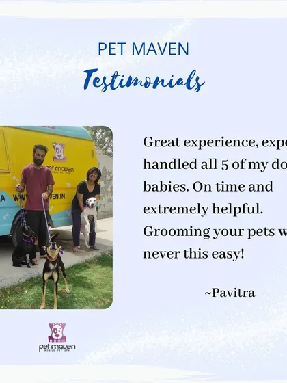 "Grooming your pets was never this easy!" This testimonial from a parent of five dog babies shows our ability to handle multiple pets efficiently and expertly, right in front of their home.