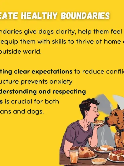 Healthy boundaries are a form of kindness. They give dogs clarity and structure, which reduces anxiety and helps them thrive both at home and in the outside world.