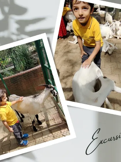 Duplicate of 157, showing children interacting with goats.
