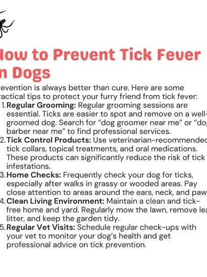 Prevention is always better than cure. Regular grooming, tick control products, and home checks are practical steps you can take to protect your dog from tick fever. I can guide you on the best approach.