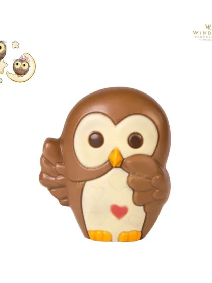 A cute, cartoon-style chocolate owl with a white chocolate belly, perfect as a sweet, whimsical gift.
