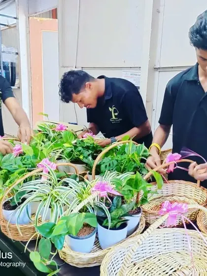 My hardworking team is the heart of Plant Studio. Here they are, carefully preparing beautiful plant hampers for a large Diwali order, ensuring every gift is perfect and delivered on time.