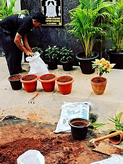 A snapshot of a busy planting day. I am preparing several pots with my specialized potting mix, getting them ready for new plants to create a beautiful container garden for a client.