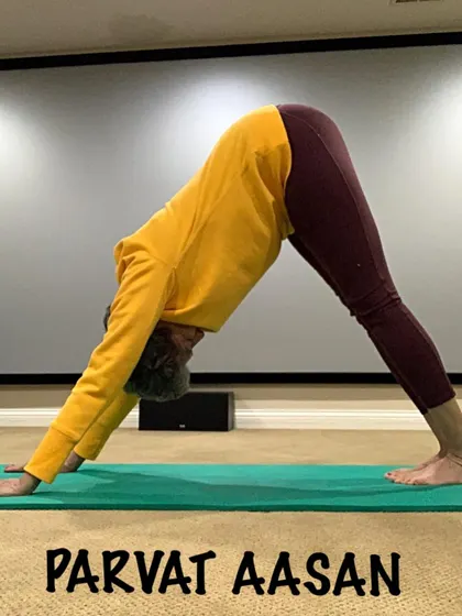 Parvat Asan, or Downward-Facing Dog, is a full-body stretch that lengthens the spine and hamstrings. During pregnancy, we practice a wider-stance version for stability.