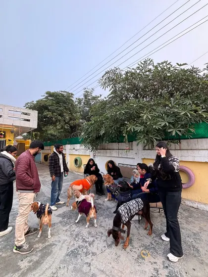 Another photo from the therapy session. The dogs loved all the extra attention and pets from our visitors.