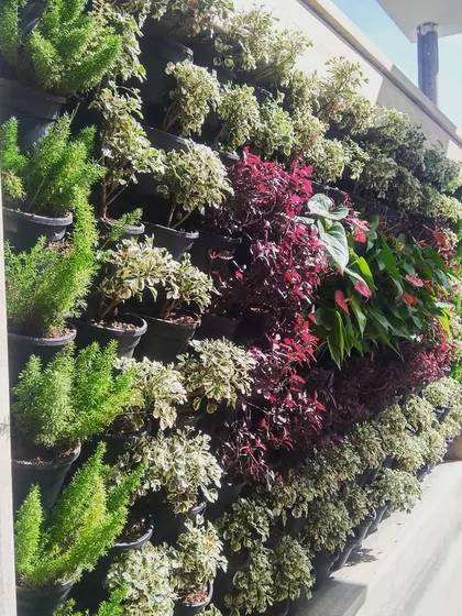 A side view of the patterned living wall, showing the depth and structure of the vertical garden modules. This angle highlights the healthy, dense foliage of the different plant varieties used in the design.