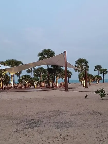 Set against a backdrop of palm trees, the open-air tensile structure creates a focal point on the beach without obstructing the natural beauty of the shoreline.