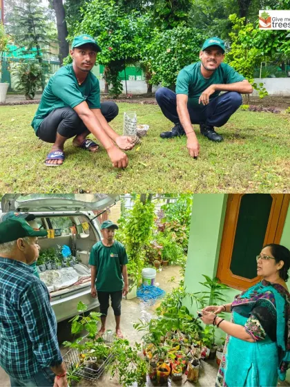 A collage from our Seed and Sapling Collection Drive in Meerut. We involve the community in collecting native seeds and carefully extracting saplings, especially on rainy days when the soil is soft.