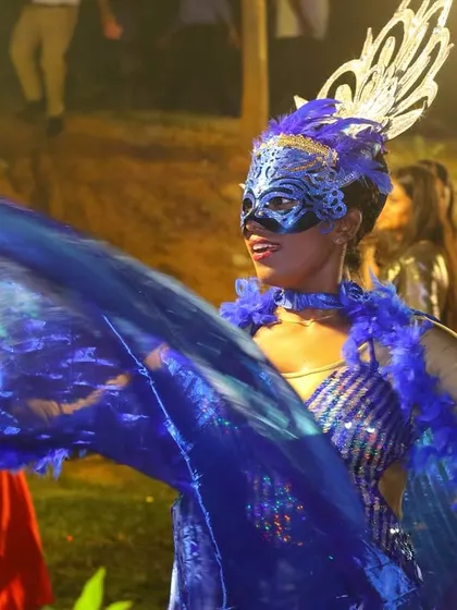 Movement and costume come together to create a visual spectacle. A dancer performs with large, flowing fabric wings as part of our custom-choreographed Rio Carnival production for a wedding near Bangalore.