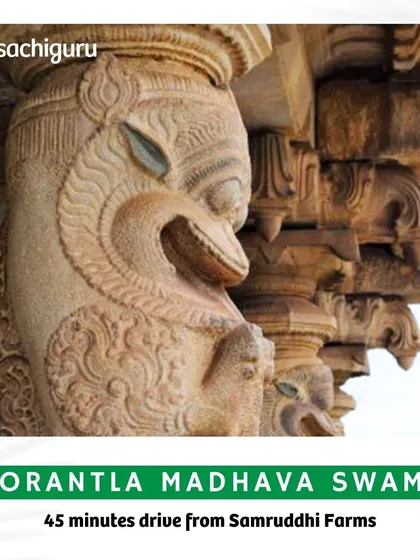 The ancient temples in the quaint town of Gorantla are a 45-minute journey from Samruddhi Farms, offering a glimpse into the region's rich spiritual history.