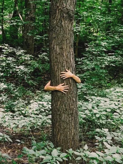 An artistic representation of our connection with nature. Forest bathing and tree-hugging are real practices that ground us and heal our spirits.