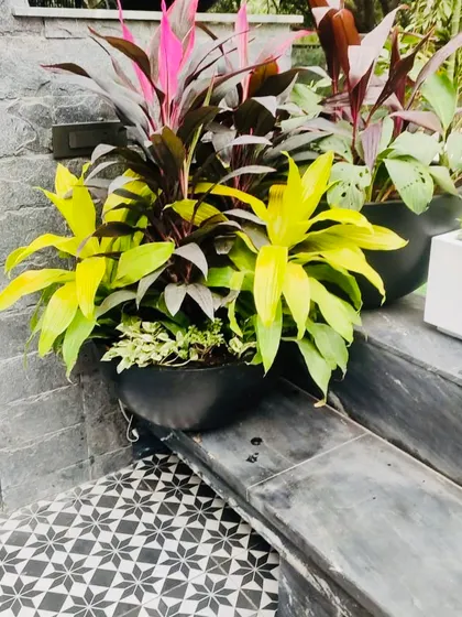 For this small open balcony, I maximized the space with rectangular planters and added softness with bowl shaped planters filled with colorful dracaena. A long built in bench provides seating.