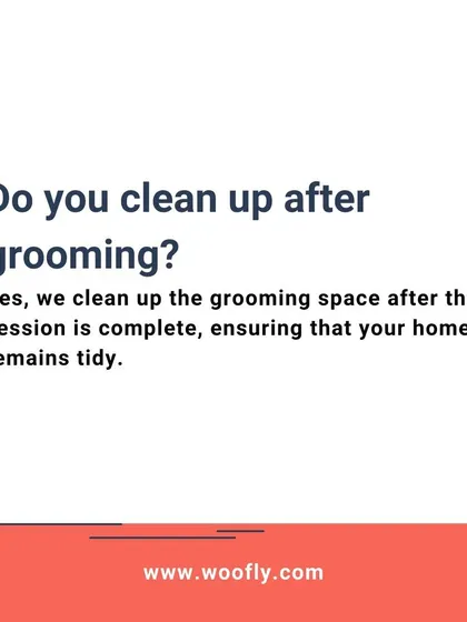 A clean home is important. I guarantee a full clean-up of the grooming area after every session.