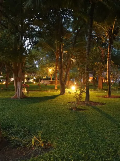 A magical night view of our garden, with lights illuminating the trees and pathways, creating a serene and enchanting atmosphere for an evening stroll.