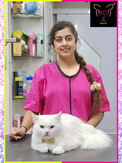 Snowy the white Persian cat is looking pristine after his spa session. Keeping a white coat this clean and fluffy requires professional skill and products.