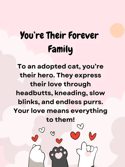 To an adopted cat, you are their forever family. This graphic explains how they show love through headbutts, kneading, and purrs.