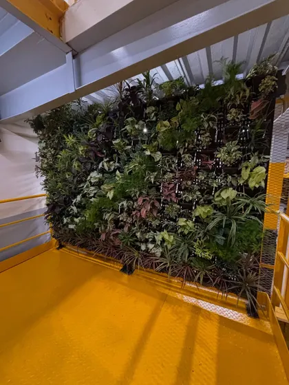 Here is the complete vertical garden we created for the Amazon warehouse in Delhi. This project demonstrates our capability to handle large-scale commercial installations, turning a functional space into a green landmark.