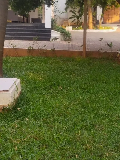 A small lawn area in a residential complex, designed around existing trees and utility access points. This demonstrates practical landscaping solutions for shared spaces.