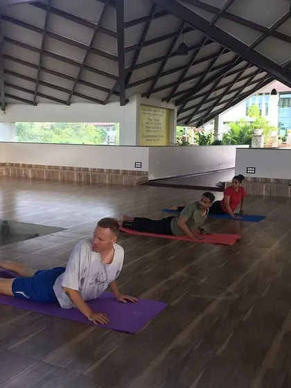 Another shot of guests in Bhujangasana (Cobra Pose). The synchronized movement in a class creates a powerful, shared rhythm of breath and energy.