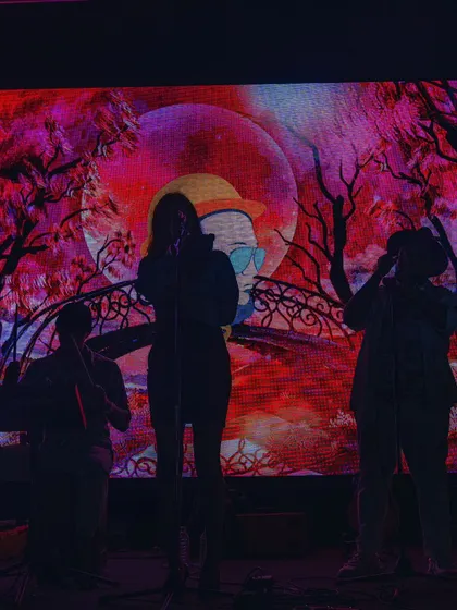 Stars shine because of darkness. The silhouette of the band against our custom visuals creates a stunning, artistic backdrop for our music.