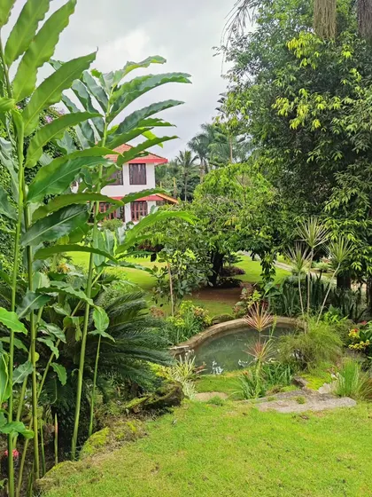 A snapshot of a lush, mature garden in Coorg, filled with a variety of tropical plants, a small water feature, and a sprawling lawn.