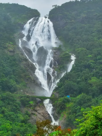 The iconic shape of Dudhsagar Falls, which resembles a sea of milk, making it one of the most picturesque waterfalls in India.