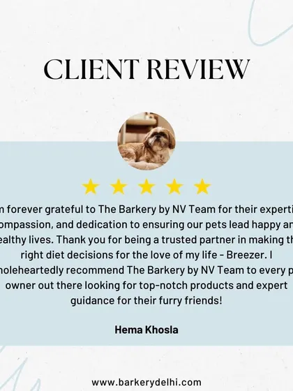 I am so grateful for feedback like this from our wonderful community. Knowing that my meal plans and guidance are helping dogs like Breezer live happier, healthier lives is why I started The Barkery. Your trust means the world to me.